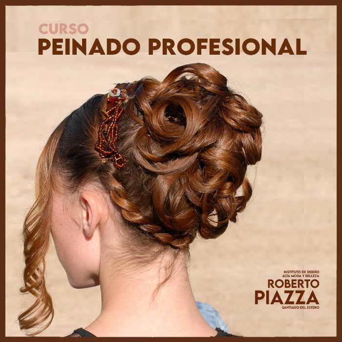 Curso Peinado Profesional